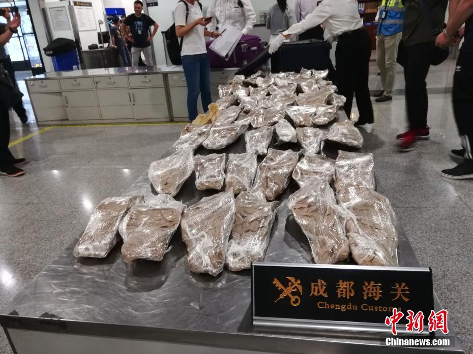 咩咩启示录前期该怎么运营