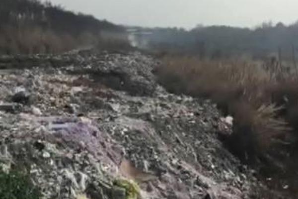 原神鹰翔海滩藏宝地1在哪