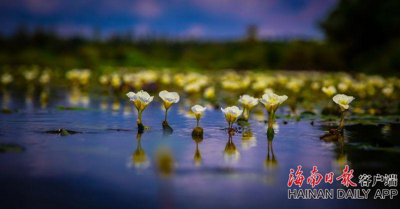 足球经理2021防守球员选谁好