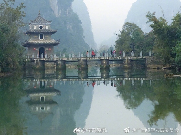吸血鬼幸存者苦猫怎么用比较好