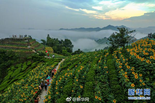 吸血鬼崛起纯净之心怎么获得