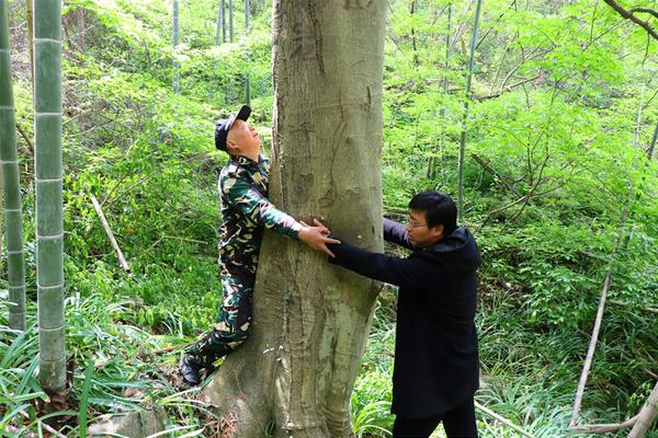 赛博朋克2077最高难度前期怎么玩